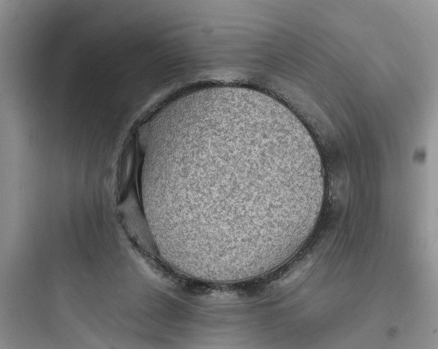 X0000097620256200803211752