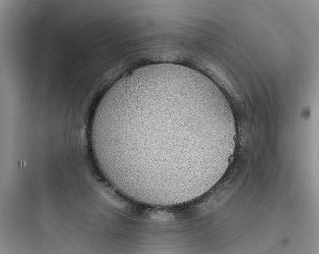 X0000097620258200803211752