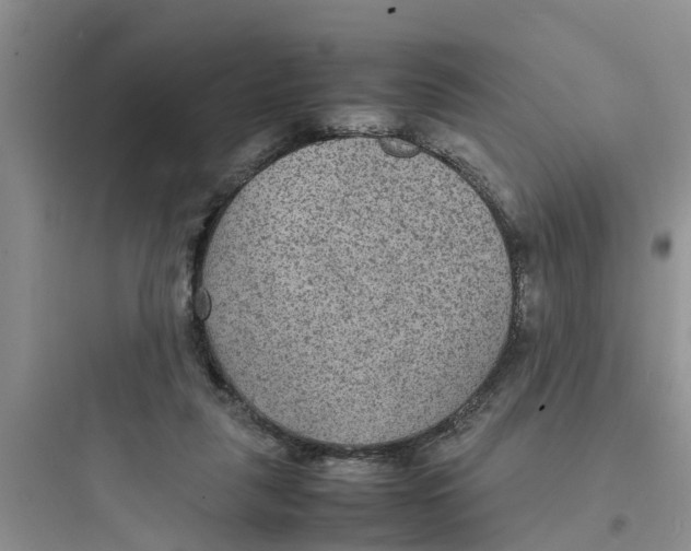 X0000097620259200803211752