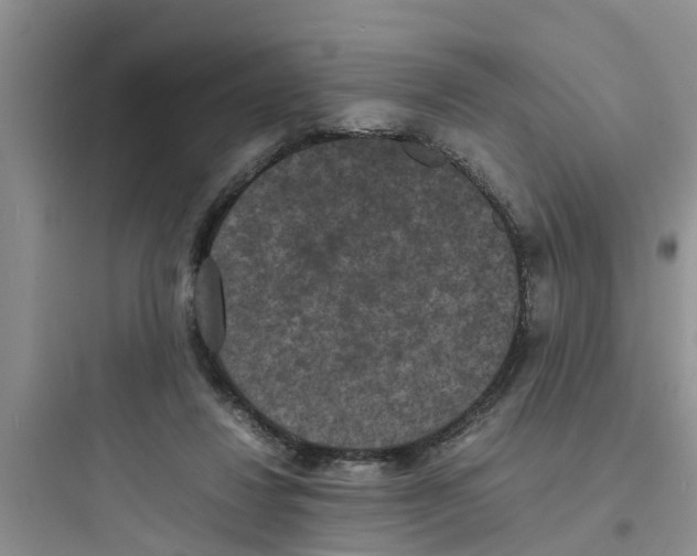 X0000097620260200803211752
