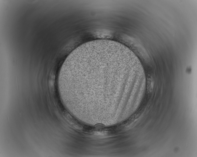 X0000097620263200803211752