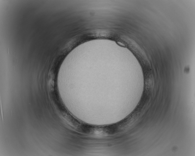 X0000097620264200803211752