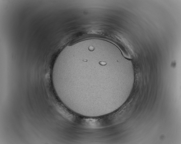 X0000097620265200803211752