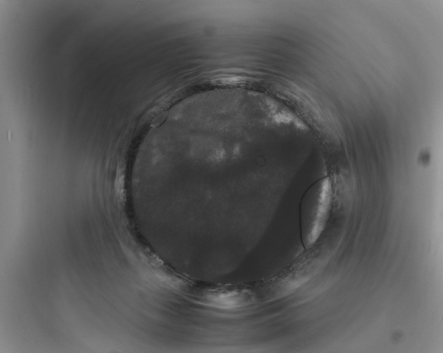 X0000097620267200803211752