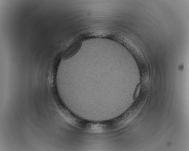 X0000097620268200803211752