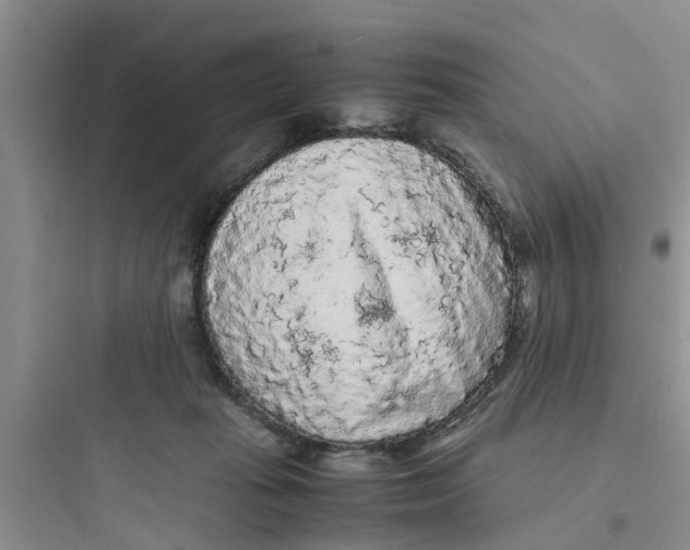 X0000097620269200803211752