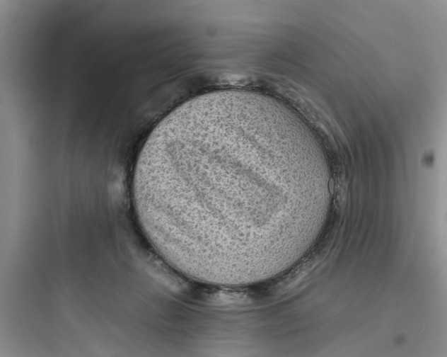 X0000097620270200803211752