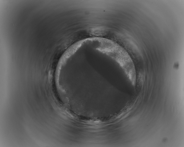 X0000097620271200803211752