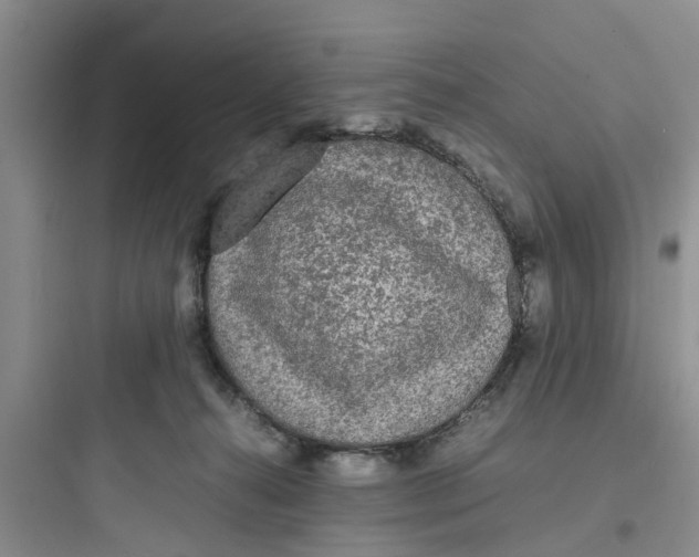 X0000097620272200803211752
