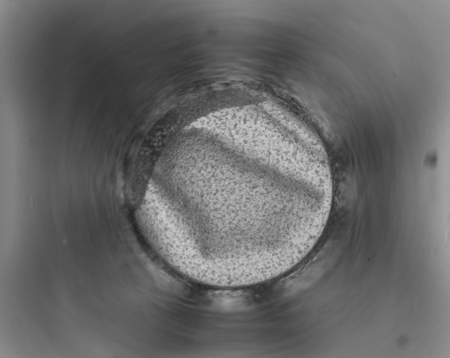 X0000097620273200803211752
