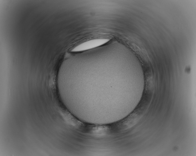 X0000097620274200803211753