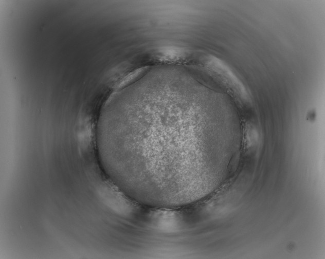 X0000097620276200803211753