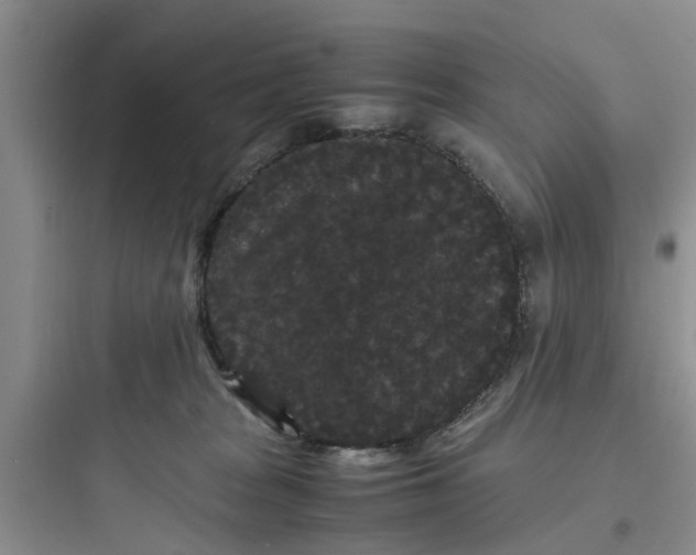 X0000097620277200803211753