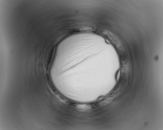 X0000097620281200803211753