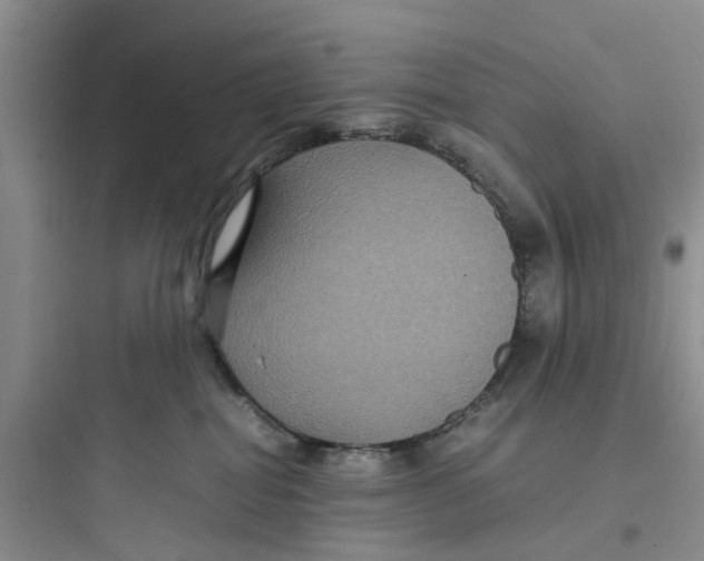 X0000097620282200803211753