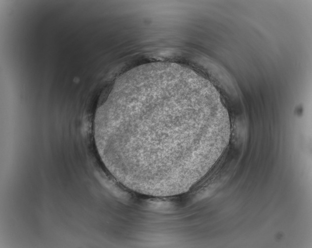 X0000097620284200803211753
