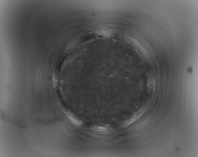 X0000097620285200803211753