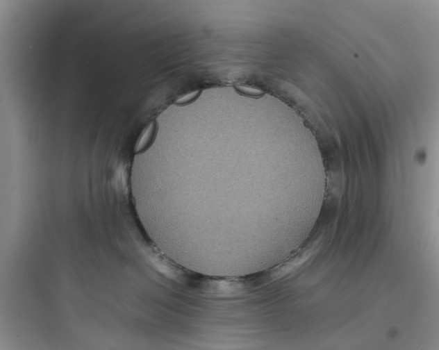 X0000097620286200803211753