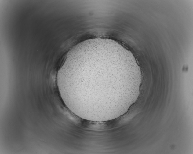 X0000097620288200803211753