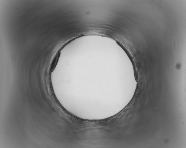 X0000097620289200803211752