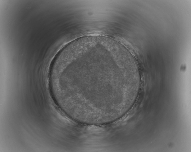 X0000097620290200803211752