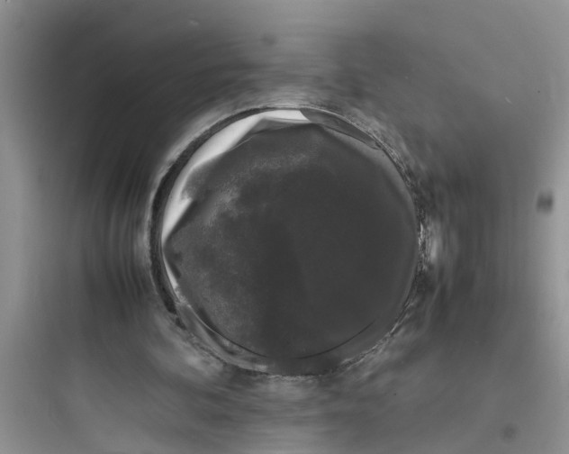X0000097620292200803211752