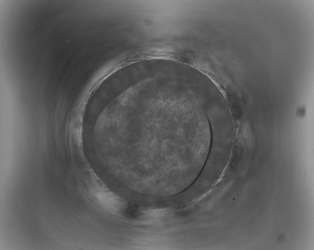 X0000097620293200803211752