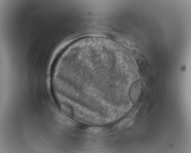 X0000097620294200803211752