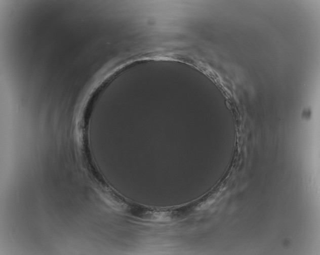 X0000097620295200803211752
