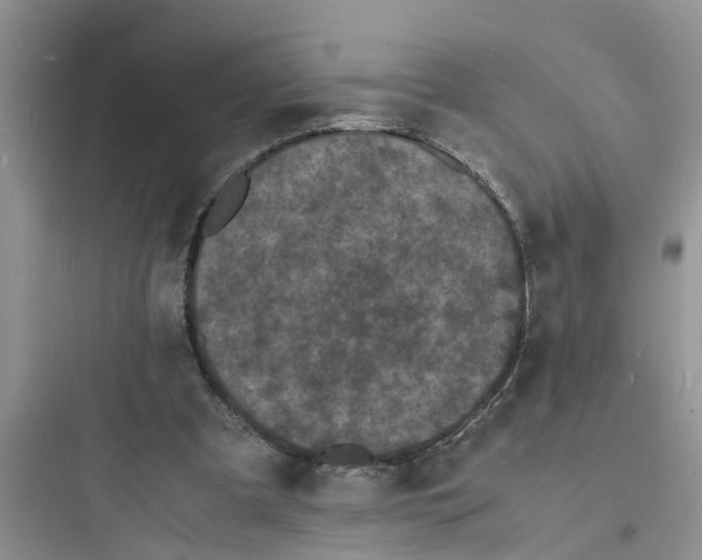 X0000097620297200803211752
