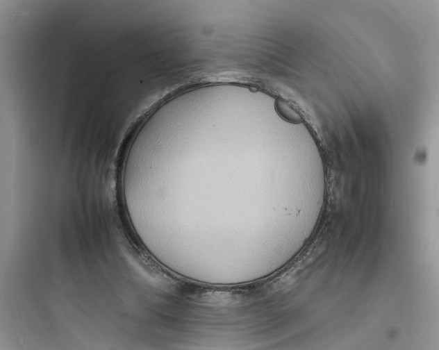 X0000097620298200803211752