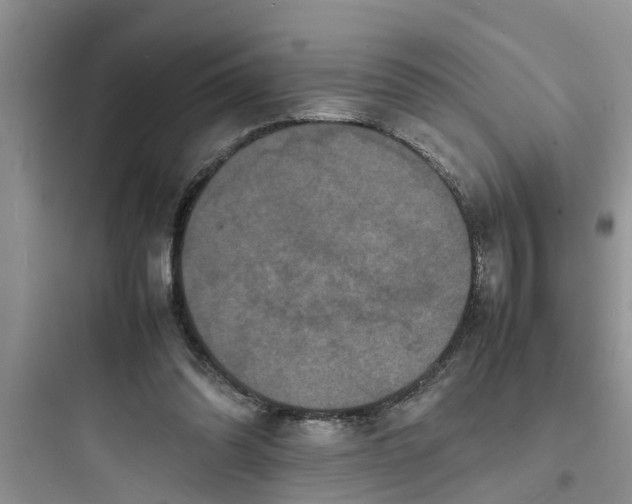 X0000097620302200803211752