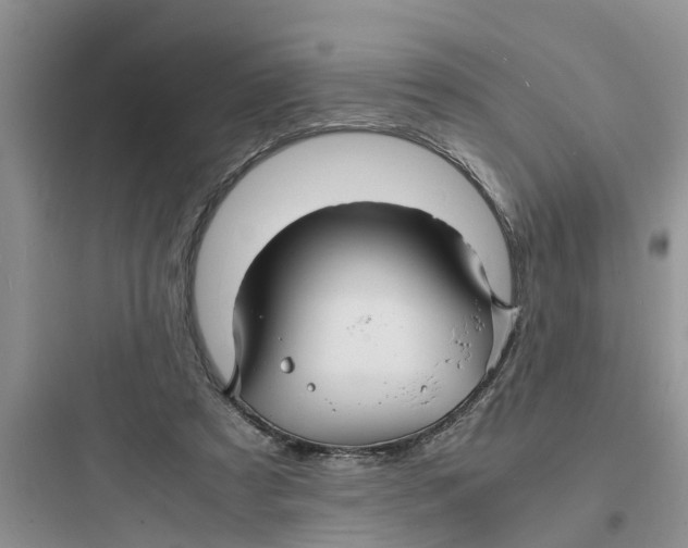 X0000097620305200803211752