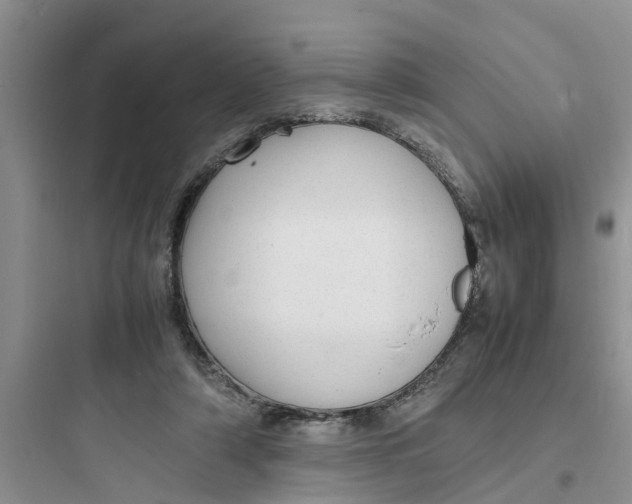 X0000097620306200803211752
