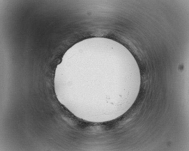 X0000097620307200803211752