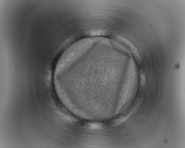 X0000097620308200803211752