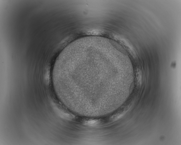 X0000097620312200803211752
