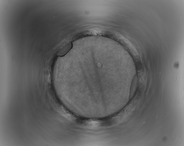 X0000097620313200803211752