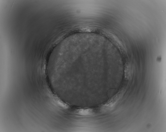 X0000097620314200803211752