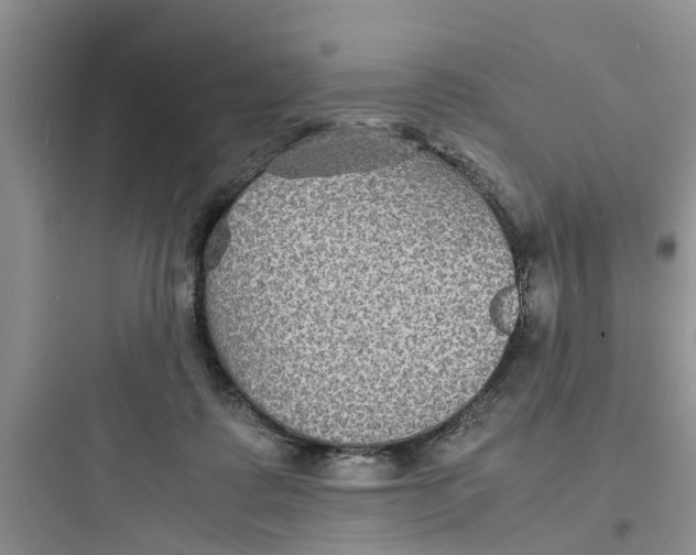 X0000097620315200803211752