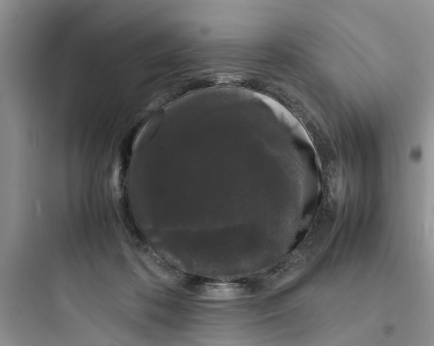 X0000097620316200803211751