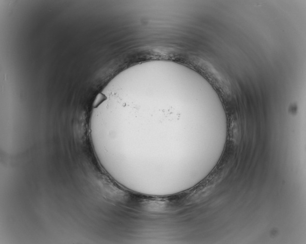 X0000097620318200803211751