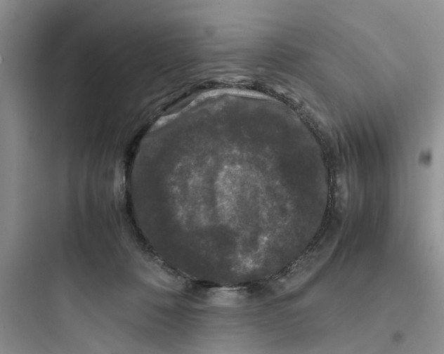X0000097620320200803211751