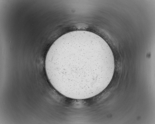 X0000097620321200803211751