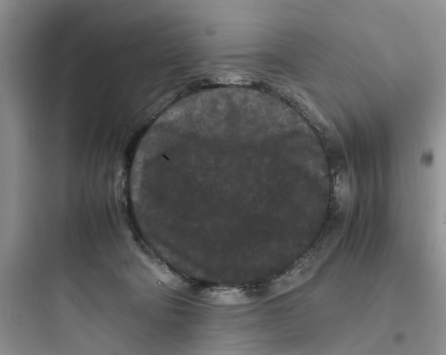 X0000097620322200803211751