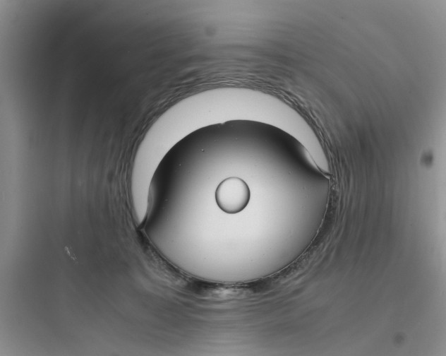 X0000097620323200803211751