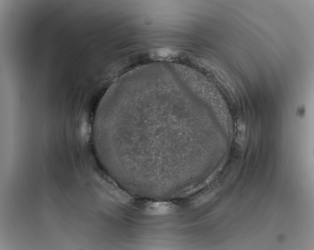 X0000097620324200803211751