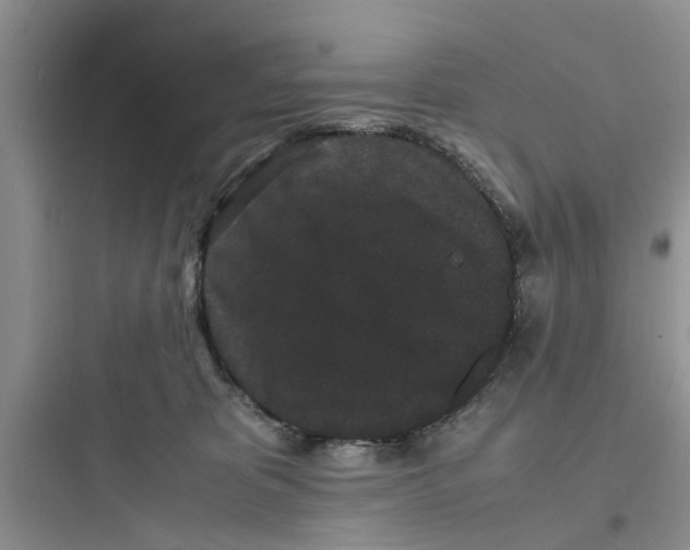 X0000097620325200803211751