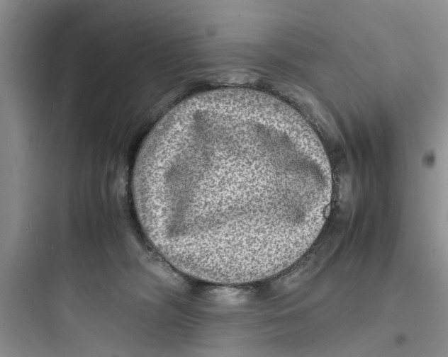 X0000097620326200803211751
