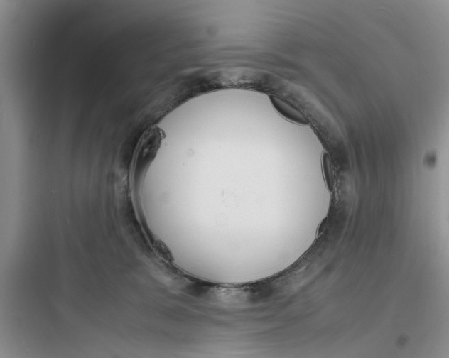 X0000097620327200803211751